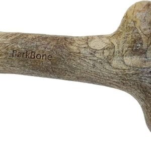 Pet Qwerks Dinosaur BarkBone – Nylon Dog Bone for Aggressive Chewers